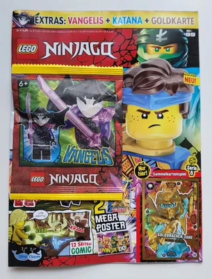 Lego Ninjago – Die Gärten von Ninjago City (71741): Amazon.de: Spielzeug