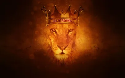 Лев с короной на нем | Премиум Фото