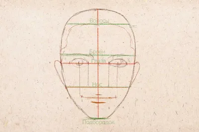 Как Нарисовать Лицо (Основы + Пропорции) Уроки для Начинающих