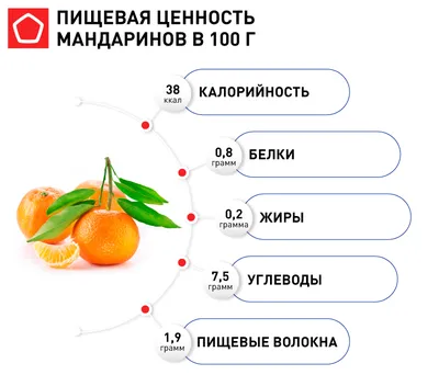 Мандарин Нашаран - комнатное растение с доставкой купить в СПб - Цитрус  Микс Экзотика 🍋