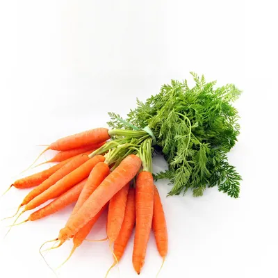 Морковь Казахстан кг | Корнеплоды | Arbuz.kz