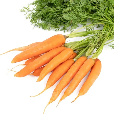 Можно ли есть морковку диабетику? - АЗЕРТАДЖ