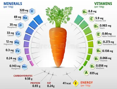 Сладкая, ровная, хрустящая: как добиться высокого урожая от моркови?