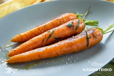 Морковь Сильвано F1 (Vilmorin) - купить семена из Франции оптом - АГРООПТ