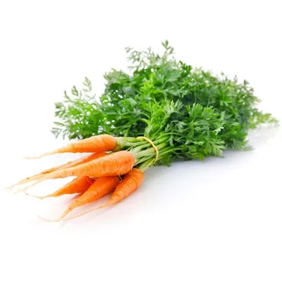 Как и сколько времени правильно варить морковь в кастрюле, мультиварке и  микроволновке : Еда: Из жизни: Lenta.ru