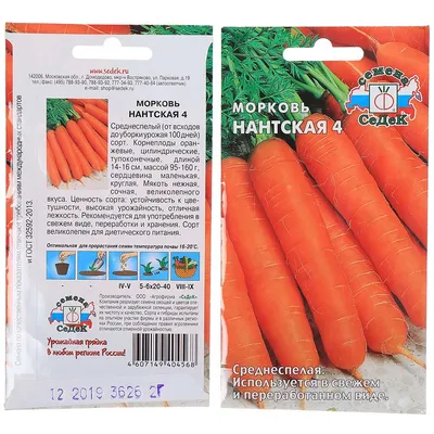 Морковь мытая с бесплатной доставкой на дом из «ВкусВилл» | Москва и вся  Россия