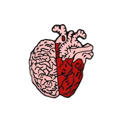 Сердце и мозг соединенные узлом на белом фоне Стоковое Изображение -  изображение насчитывающей сцепление, лодкамиамфибий: 190547567