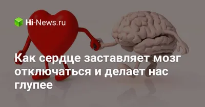 Мозги И Сердце Связаны Между Собой Сердце И Мозг Работают Вместе — стоковая  векторная графика и другие изображения на тему Символ сердца - iStock