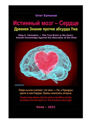 Купить Моделирование науки Мини-модель человеческих органов Мозг Сердце  Легкие Печень Тонкий кишечник Толстый кишечник | Joom