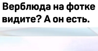 Тест на Альцгеймера | Пройти тест на болезнь Альцгеймера