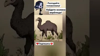 На этой картинке есть не только верблюд, но и его хозяин. Но немногие могут  его найти - Рамблер/субботний