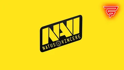 Wird NAVI npl aus dem CS:GO-Lineup entfernen? - Fragster.de