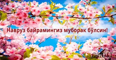 Navruz muborak! Навруз муборак! - YouTube