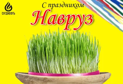 Международном университете туризма и культурного наследия «Шелковый путь» -  Дорогие друзья, уважаемые коллеги и студенты!