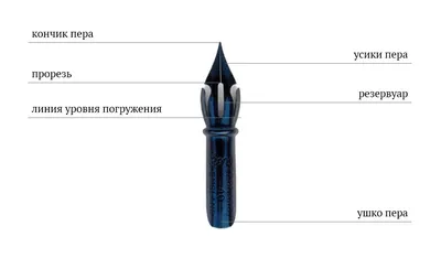 Перо Пера И Сердце Иллюстрации Хорошо Для Логотипа. Клипарты, SVG, векторы,  и Набор Иллюстраций Без Оплаты Отчислений. Image 90845792