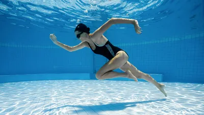 Плавание способствует образованию новых нервных клеток, улучшает память и  снижает тревогу