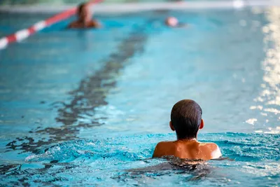 Как научить ребенка плавать - 7Дней.ру
