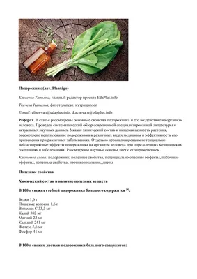 Подорожник большой, лист 1,5гр*20ф-п ЛекраСэт (лат. Plantágo májor) |  Интернет-магазин \"Сила природы\"