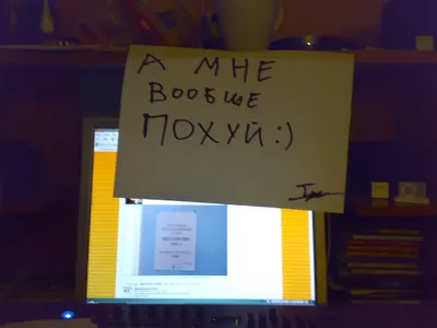 всем похуй / смешные картинки и другие приколы: комиксы, гиф анимация,  видео, лучший интеллектуальный юмор.