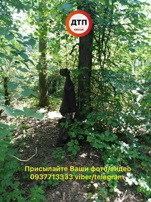 В Пензенской области гуляющий в лесу испугался, что увидел повешенного