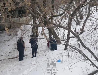 Повешенного мужчину нашли среди бела дня у стелы счастливой семьи Тело  неизвестного было привязано к суку дерева на площади, где… | Instagram