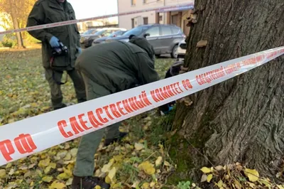 По факту выявления повешенного пса в Локнянском районе проводится проверка  | ПРОИСШЕСТВИЯ | АиФ Псков