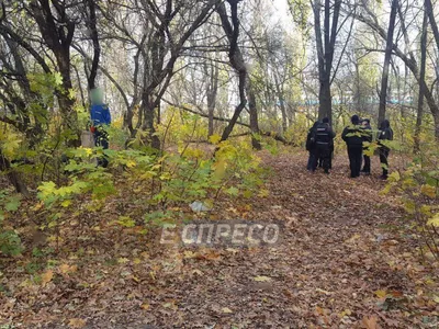 Рыбак обнаружил труп повешенного мужчины в районе Культурного пруда » Гай  ру — новости, объявления