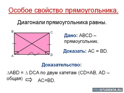 Векторная Белая Декоративная Рама На Белом Фоне Украшение Прямоугольника  Кадра Для Вашей Фотографии Декоративная Граница — стоковая векторная  графика и другие изображения на тему Антиквариат - iStock