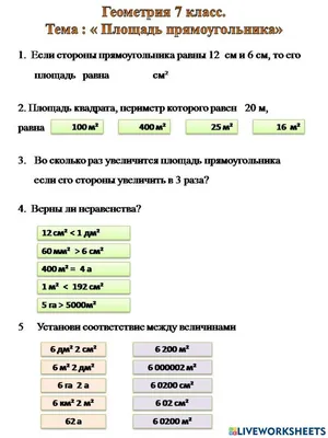 Найти площадь прямоугольника. Задача для 6 класса | Тесты_математика | Дзен