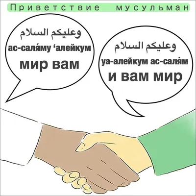 Дружеское рукопожатие друзья приветствие работа в команде дружба крупным  планом спасение помогая жест или руки крепкая хватка две руки рука помощи  другу рукопожатие руки дружба | Премиум Фото