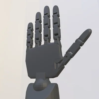 Руки Руки, люди, рука, рука Модель png | Klipartz