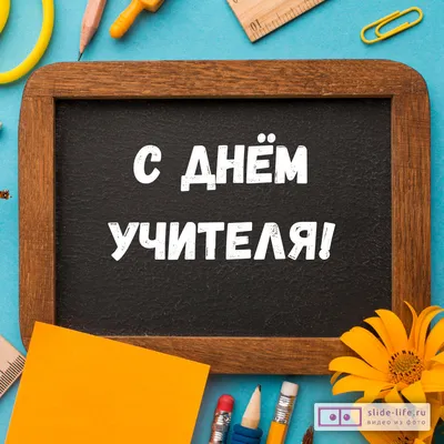 С Днём учителя, любимый «Ломо»!💛 Для меня, как и для всех здравомыслящих  людей, вы-особая категория людей, выбравших столь благородную… | Instagram