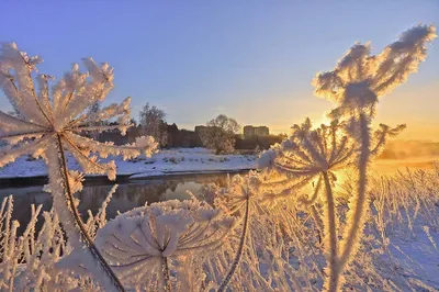 ❄️⛄😍 Картинки с добрым зимним утром. +100 картинок! | Зимние картинки,  Живописные пейзажи, Пейзажи