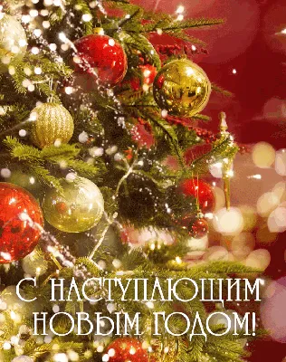 ПОЗДРАВЛЕНИЕ С НАСТУПАЮЩИМ НОВЫМ ГОДОМ. ИТОГИ ГОДА. | Таймырский.Обзор мира  с юмором. | Дзен