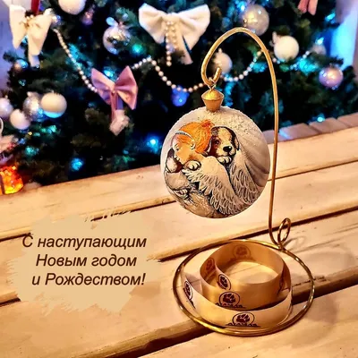 Поздравляем с наступающим Новым годом и Рождеством! — СУНЦ МГУ