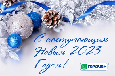 С наступающим Новым 2023 Годом!