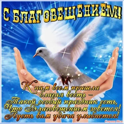 🕊🌹С прекрасным праздником — Благовещения! 🙏🏻 | Ольга Квасникова |  ВКонтакте