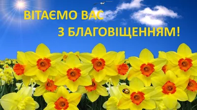 Поздравляем с праздником Благовещение Пресвятой Богородицы! Хотелось бы,  всем пожелать, услышать главную хорошую весть - вируса в Украине… |  Instagram