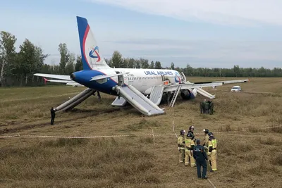 Пассажирский самолет вынужденно сел в поле в Новосибирской области -  12.09.2023, Sputnik Беларусь