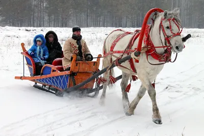 Картинка саней