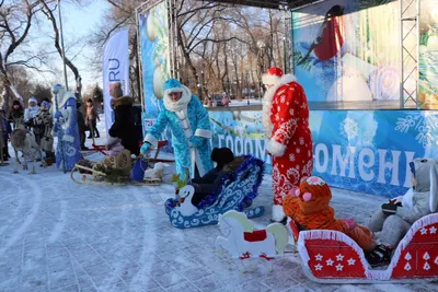 Отбойник для саней волокуш С-6 купить в Москве в интернет магазине, цены |  Продажа мотособак с доставкой по России со склада