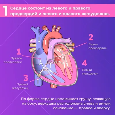 Поздравительная открытка сердце | купить открытку сердечко