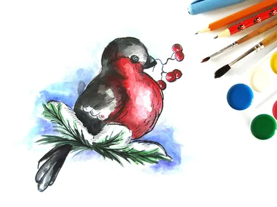 Брошь - Снегирь (Colorful) из коллекции BIRD's - купить оптом и в розницу с  доставкой по всей России в интернет-магазине ORGALICA.COM