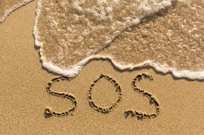 Google Launches SOS Alert For Searches Related to Coronavirus