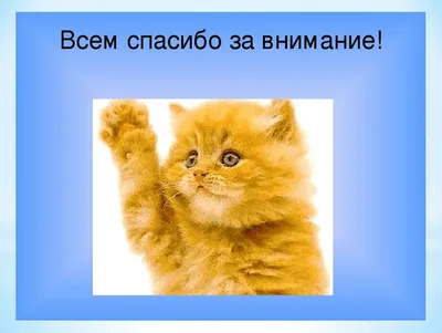 Спасибо за просмотр\" БЕСПЛАТНЫЙ футаж для ютуб на хромакее и прозрачном  фоне (с альфа каналом) - YouTube