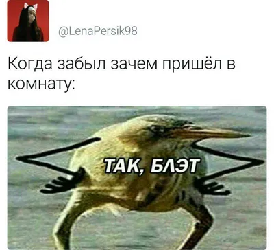 Так Блэт!\" | Пикабу