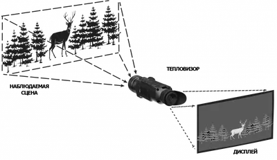 Принцип работы тепловизора. Как работает современный тепловизор - WHT.ru