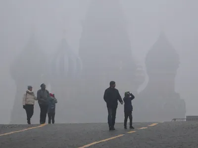 Туман , профессиональное фото, …» — создано в Шедевруме