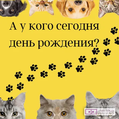 Какой праздник может быть лучше, чем День рождения? Подарки, поздравления и  столько внимания! Этот праздник д… | С днем рождения, Открытки,  Поздравительные открытки