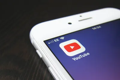 Пользователи YouTube на iPhone лишились режима «картинка в картинке» -  Хайтек - info.sibnet.ru